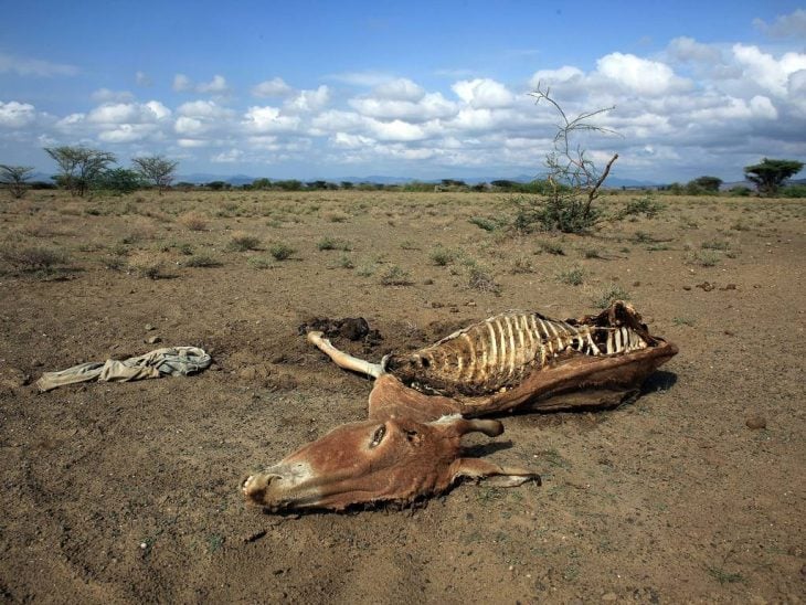 Escenas del cambio climático