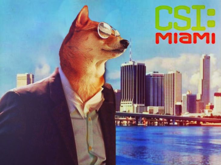 Perro Shiba en Batalla de Photoshop