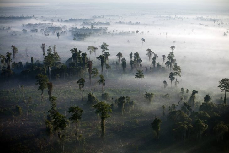 Cambio climático