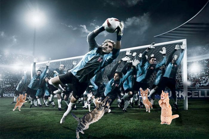 Photoshop gatos futbol