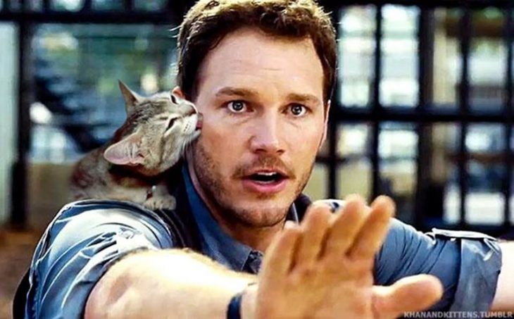 gatos en jurassic park