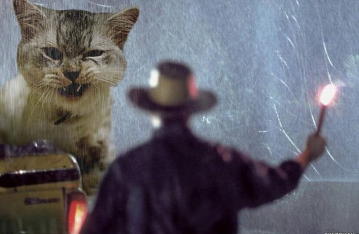 gatos en jurassic park