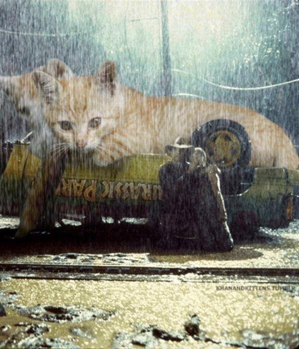 gatos en jurassic park