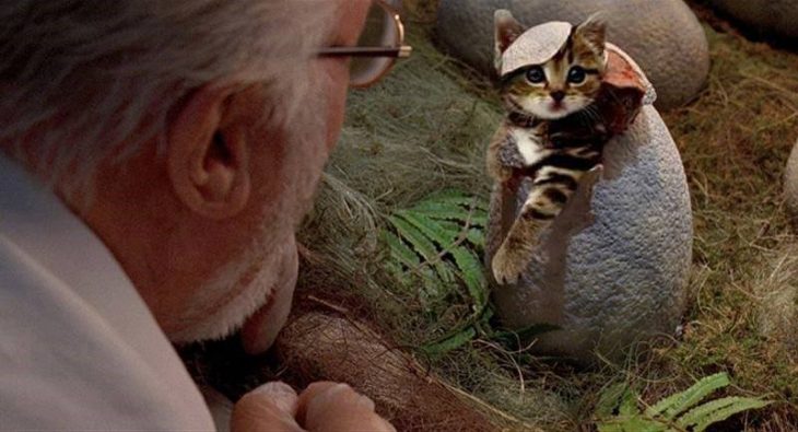 gatos en jurassic park