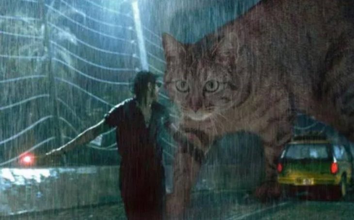 gatos en jurassic park