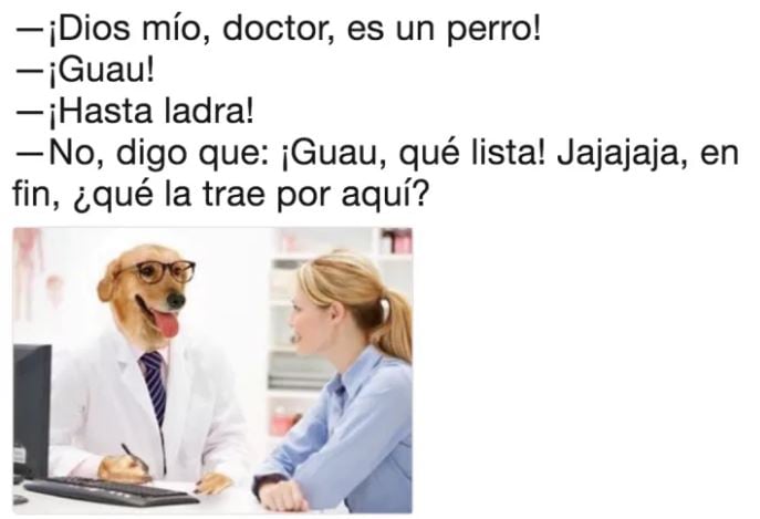 doctor perro