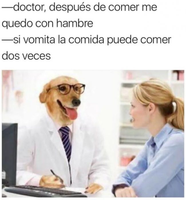 doctor perro