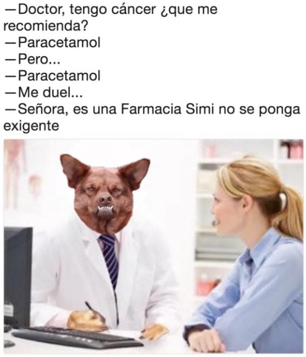 doctor perro