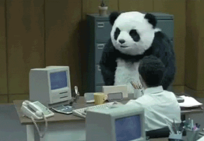 gif say yes to panda