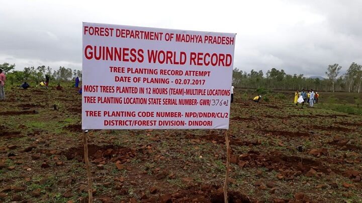 Récord en India por plantar árboles