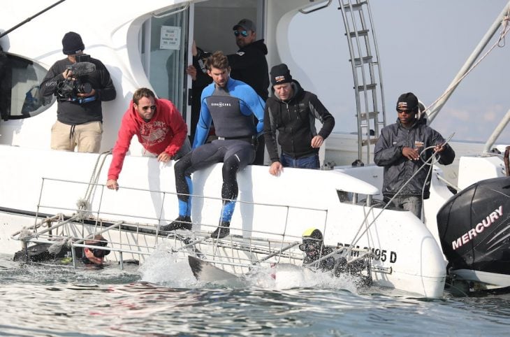 Phelps nadando con tiburones