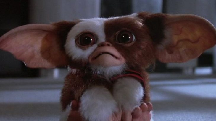 gizmo