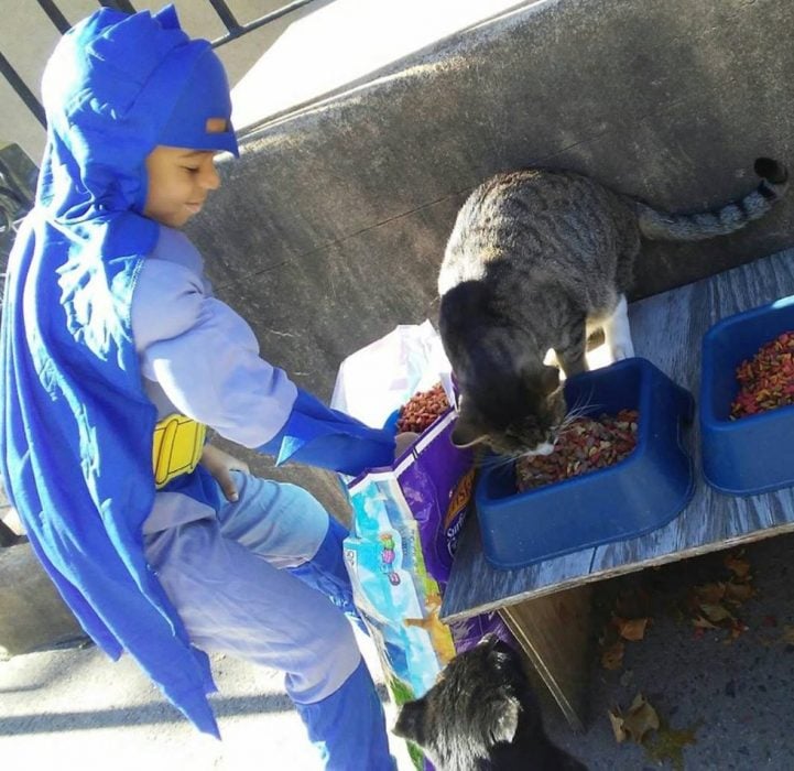 Niño cuidador de gatos