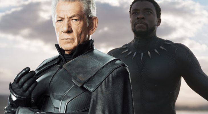 magneto y t´challa