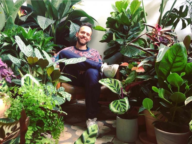 millennials y plantas