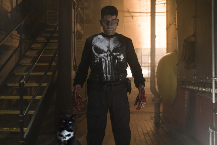 Gato punisher