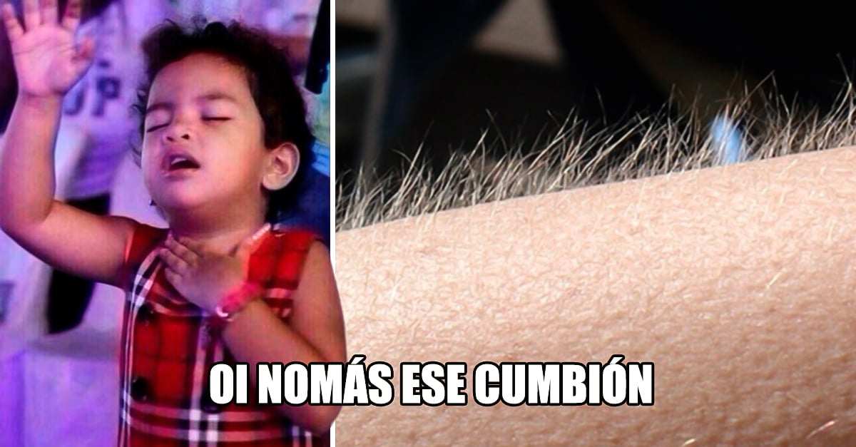 Estudios muestran porqué se enchina la piel con música.