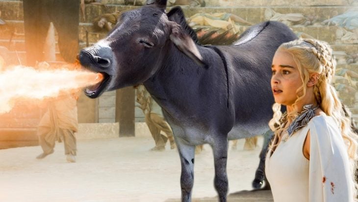 Batalla de Photoshop con burro