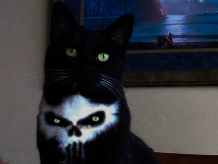 Gato punisher