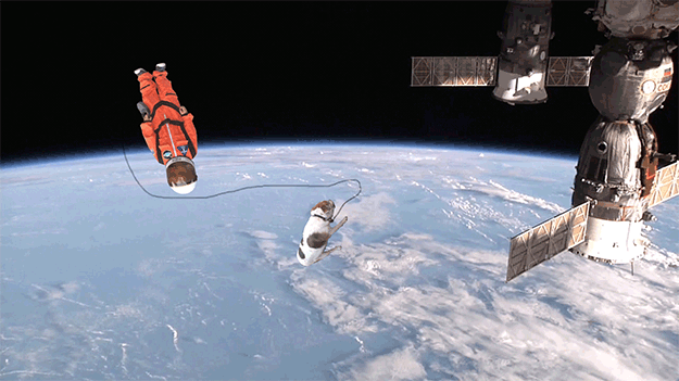 niño astronauta perro photoshop
