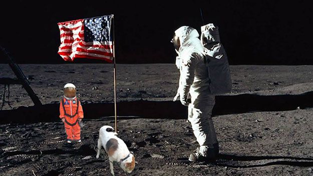 niño astronauta perro photoshop