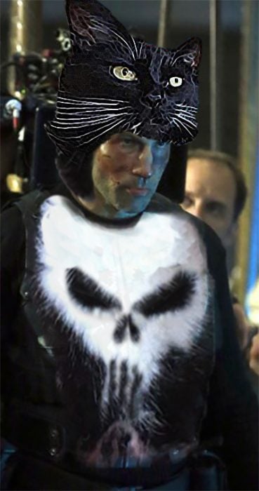 Gato punisher