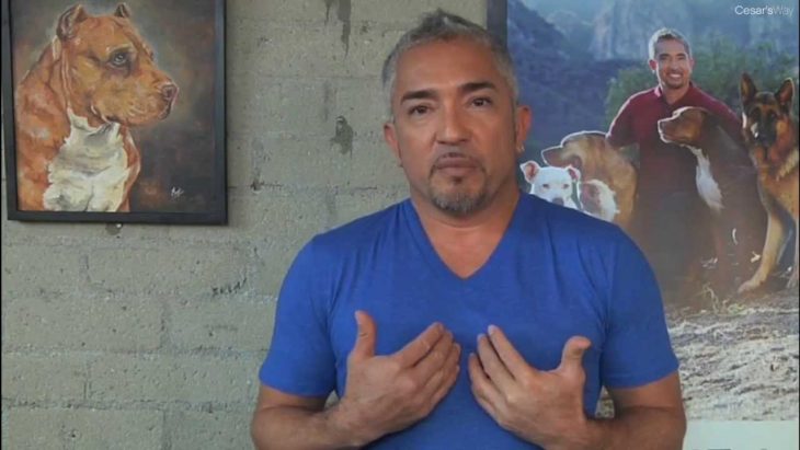 cesar millan