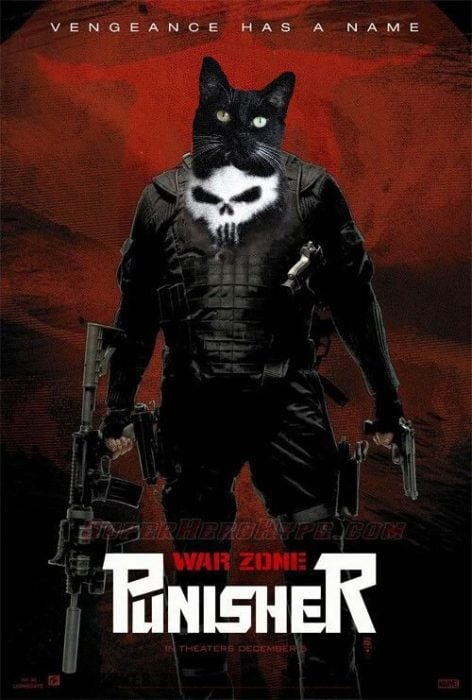 Gato punisher