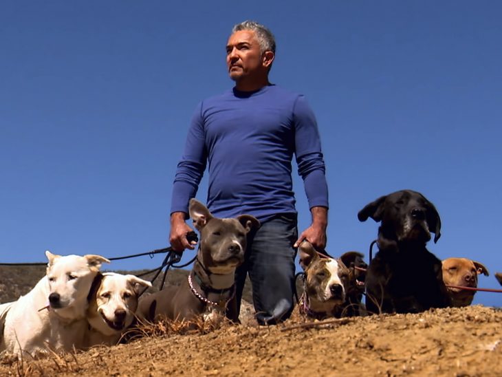 cesar millan