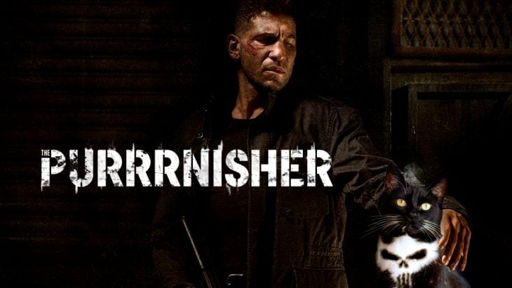 Gato punisher