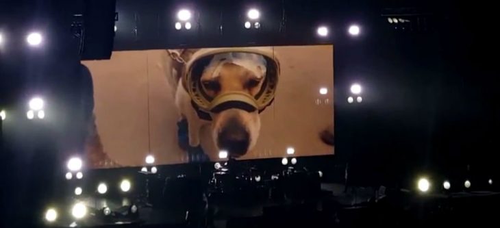 Frida en concierto de RHCP