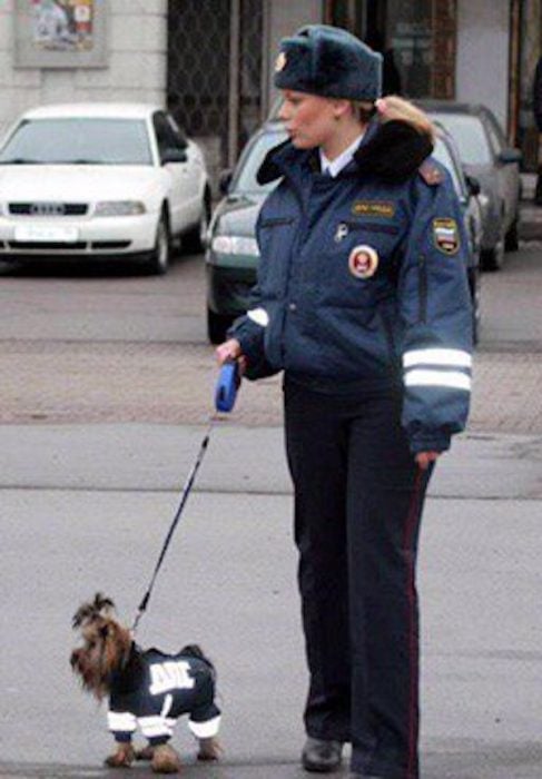 la gente en rusia está loca