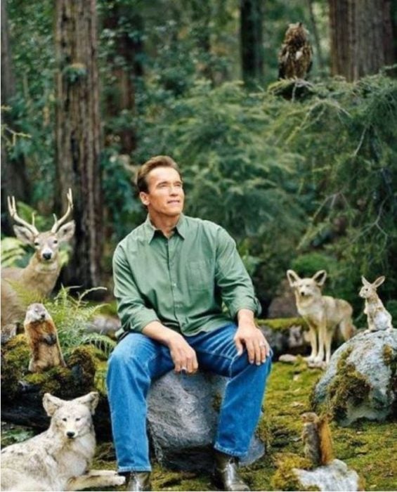 foto de Arnold Schwarzenegger memes