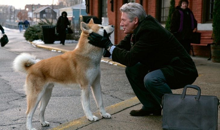 hachiko siempre a tu lado pelicula 2063089 730x433 ¿Tienes un perro? Entonces vivirás por más tiempo; los canes previenen enfermedades del corazón