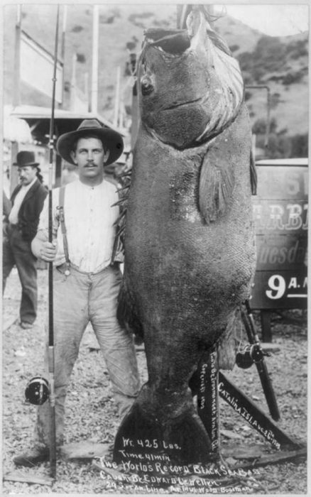 fotos que demuestran que la vida era rara