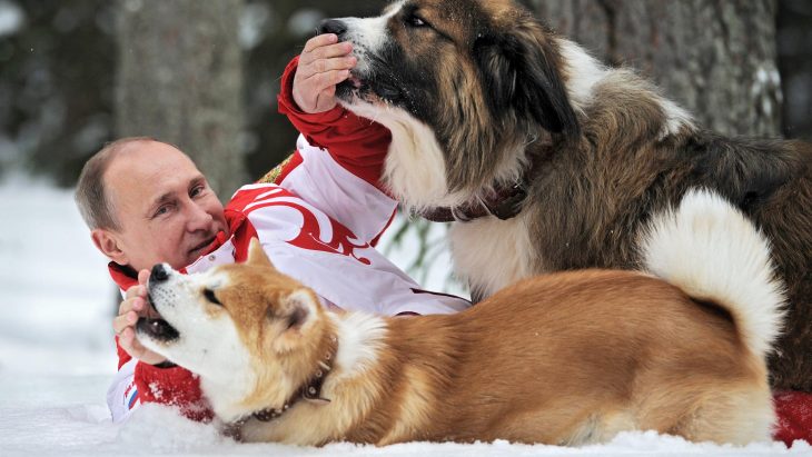 Rusia contra maltrato animal