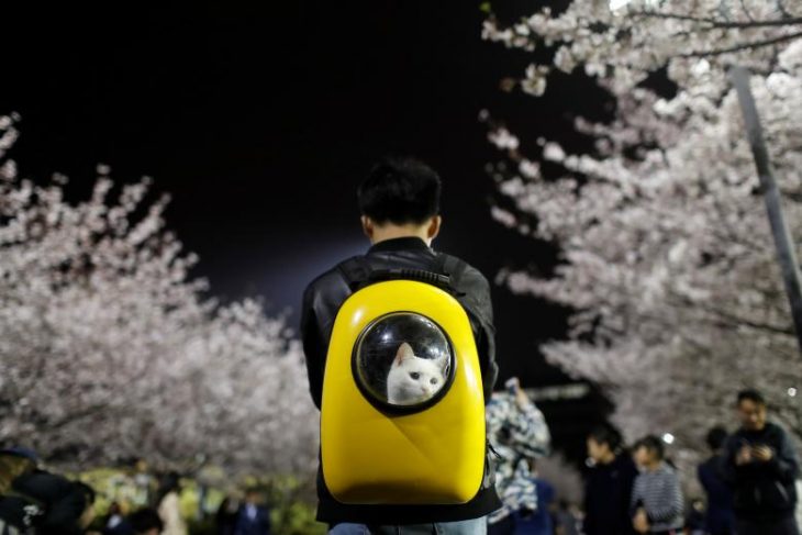 Mejores fotos de Reuters en 2017