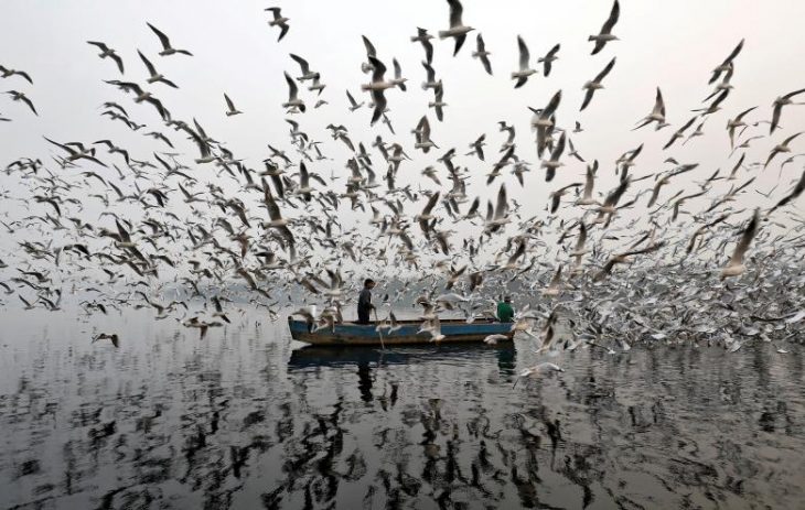 Mejores fotos de Reuters en 2017