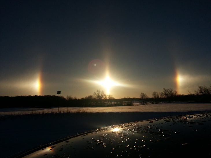 Perros del Sol en Michigan