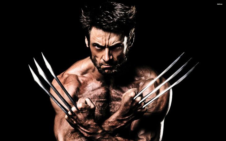 wolverine