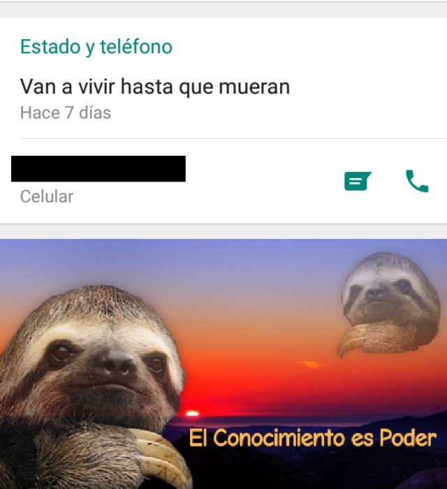 el conocimiento es poder memes