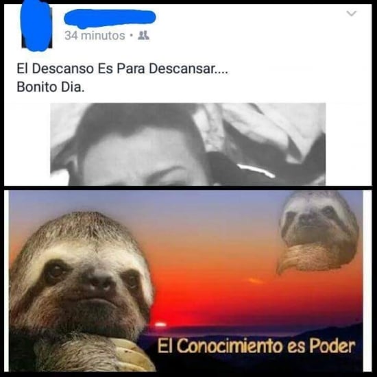 el conocimiento es poder memes