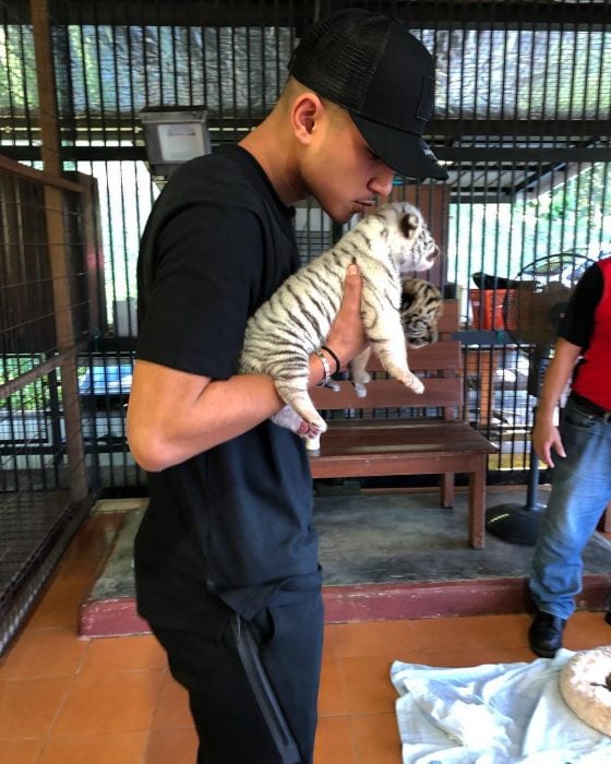 Joven con tigres