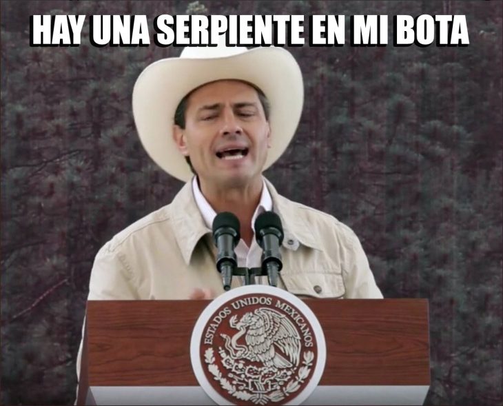 peña canta sombrero meme