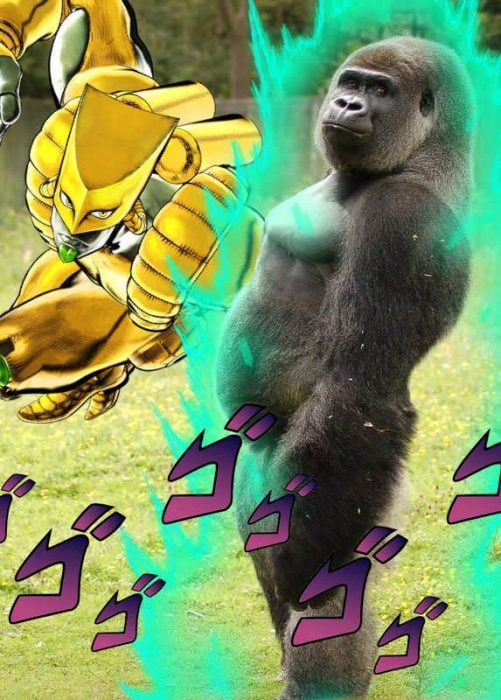 Gorila batalla photoshop