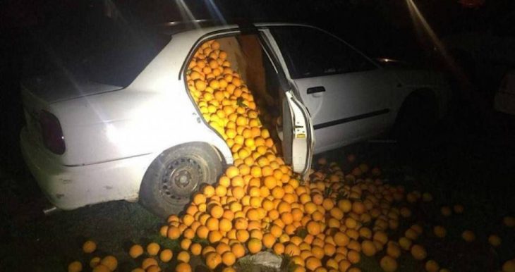 Coche lleno de naranjas