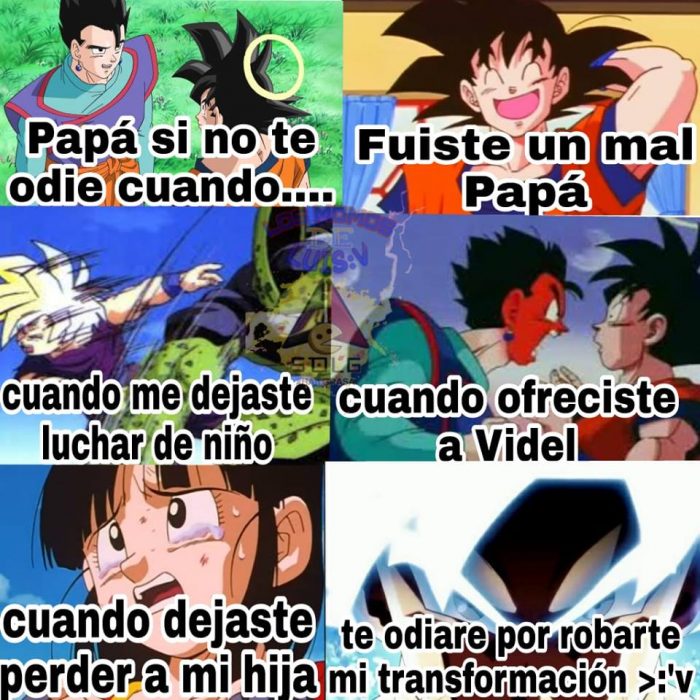 memes dbs