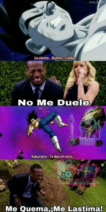 memes dbs