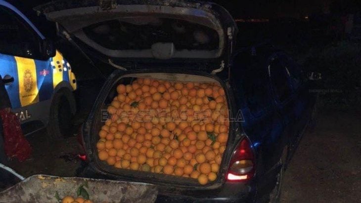 Coche lleno de naranjas