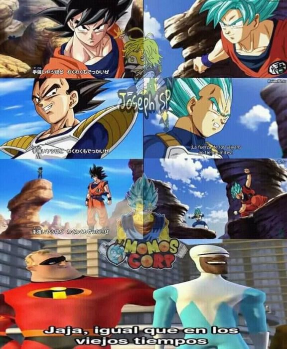 Memes DBS